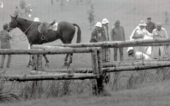 After falling from her horse at the Olympics, the Princess said her memory was 'almost non-existent for that day'