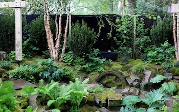 The Natio<em></em>nal Autistic Society Garden designed by Sophie Parmenter