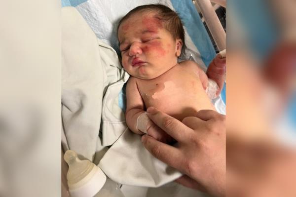 A stray dog was found carrying an abando<em></em>ned baby girl that had been ditched inside a garbage bag in Tripoli, Lebanon.