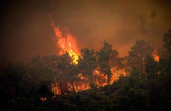 Fires spread through forest in Rhodes