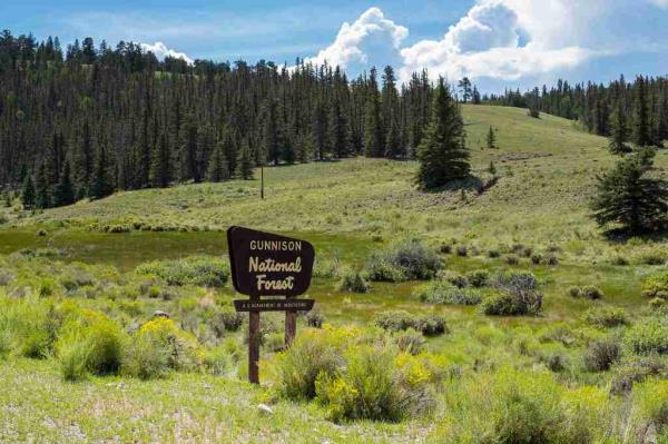 Gunnison Natio<em></em>nal Forest sign