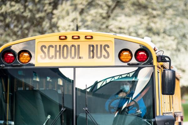 School bus 