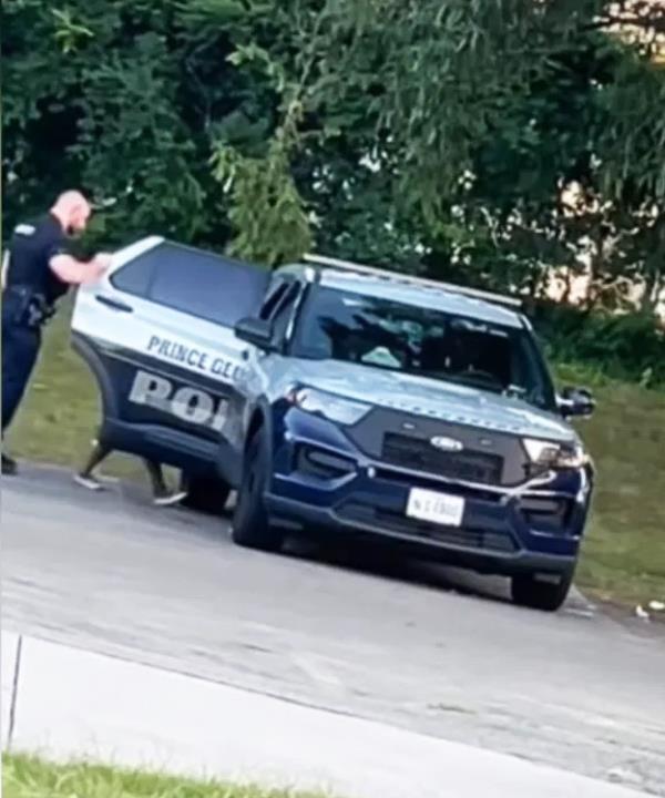 Virginia Pinto climbing into the cop car. 