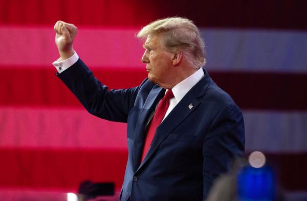 Do<em></em>nald Trump