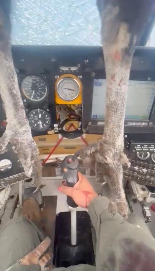 Pilot holds stick with bird dangling