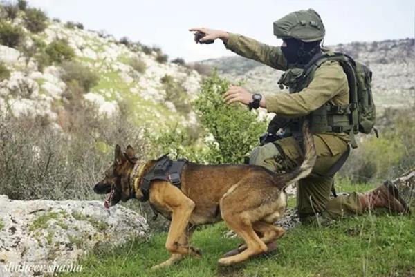 A member of Israel's Oketz K-9 Unit with his dog.