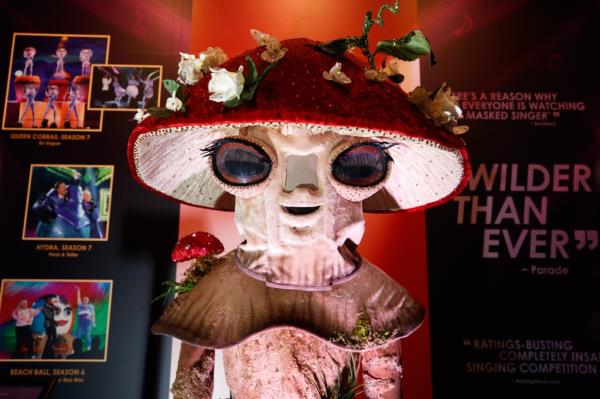 A mushroom costume. 