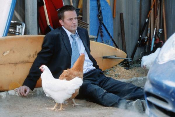 Matthew Perry in The Whole Ten Yards (2004)