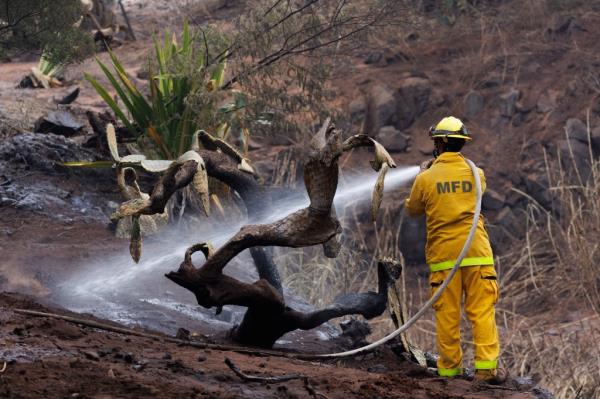 The Maui Fire Department co<em></em>ntinued to combat the fires as best they could, but could not co<em></em>ntain the raging flames. 