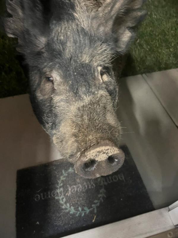 Kevin Bacon standing at the door.