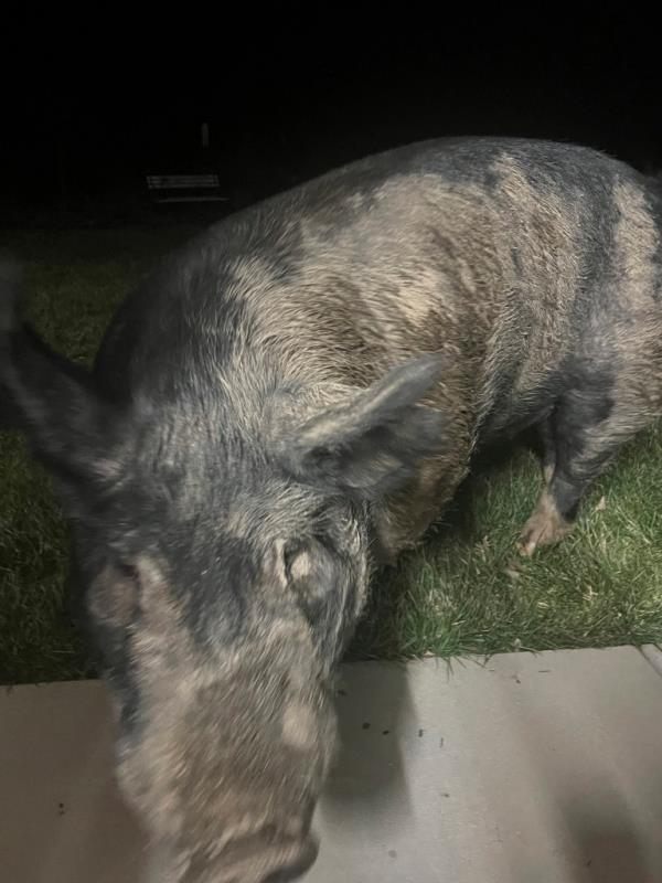 Kevin Bacon standing at the door.