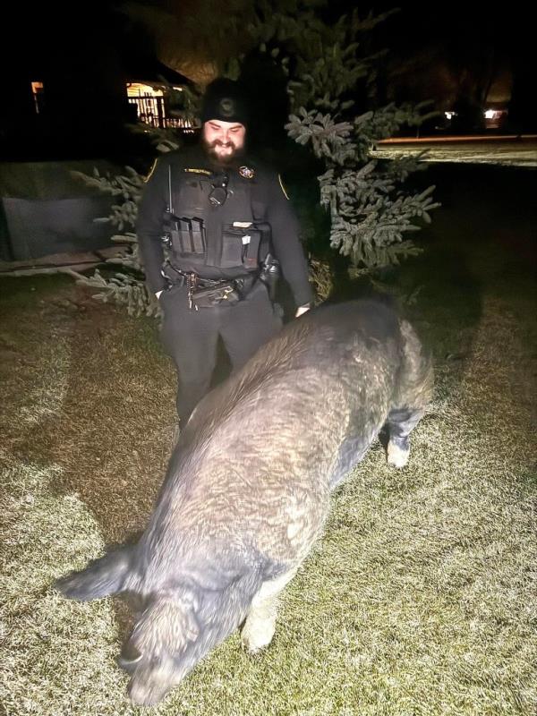 A cop standing next to Kevin Bacon.