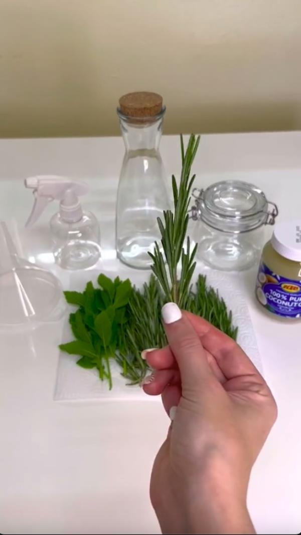 Jasmine Larsen holding rosemary sprigs. 