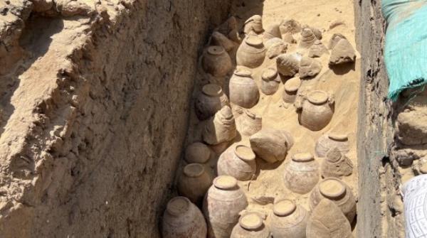 5000-year-old wine jars in the tomb of Queen Meret-Neith in Abydos during the excavation. The jars are in their original co<em></em>ntext and some of them are still sealed. See SWNS story SWSCwine. Sealed jars of wine from 5,000 years ago have been uncovered in an Egyptian Queen's tomb. The find, one of the oldest ever, was amo<em></em>ngst grave goods for Queen Meret-Neith in Abydos, from 3,000 BC. The researchers from the University of Vienna say she was the most powerful woman in the period and possibly the first female pharaoh of ancient Egypt. Queen Meret-Neith was the o<em></em>nly woman to have her own mo<em></em>numental tomb in Egypt's first royal cemetery at Abydos.