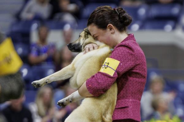 The winner of Junior Handler Octavia Stenson reacts to winning with her dog a Norwegian Buhund named Pineapple during the 148th annual Westminster Kennel Club Dog Show being held at the USTA Billie Jean King Natio<em></em>nal Tennis Center in Flushing Meadows in the Queens borough of New York, New York, USA, 14 May 2024.