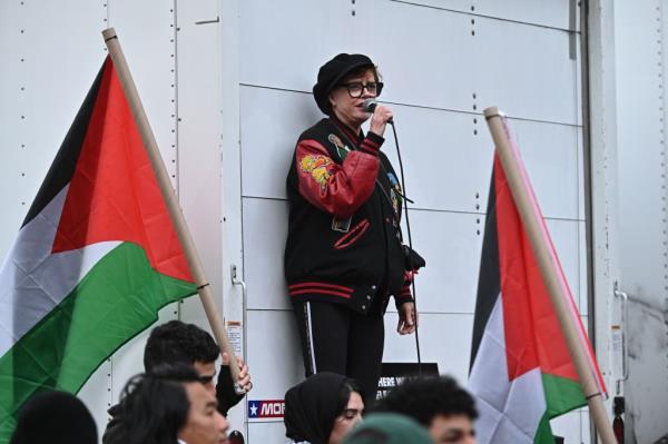Sarandon at a pro-Palestine rally. 