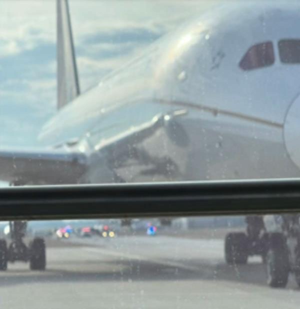 The flight was en route to Los Angeles. 