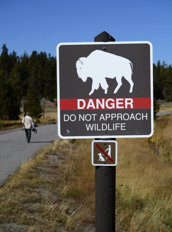 A sign in Yellowstone Natio<em></em>nal Park warns visitors to not approach bison and other wildlife.