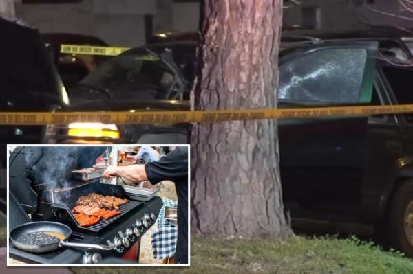A man was fatally shot a after stealing a BBQ pit from homeowner's property. 
