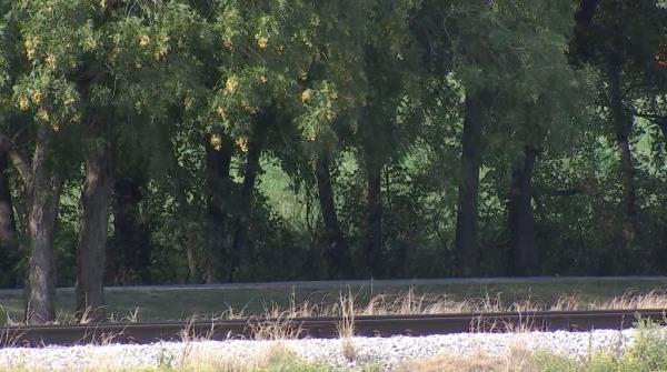 A wooded area wher<em></em>e Mann allegedly brought the victim