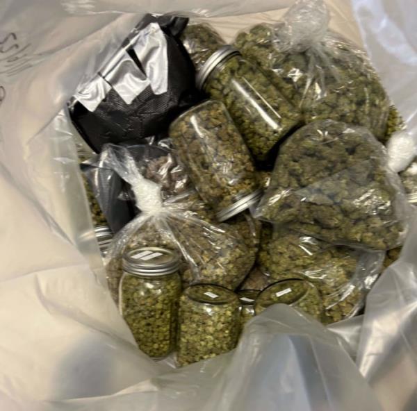 cannabis