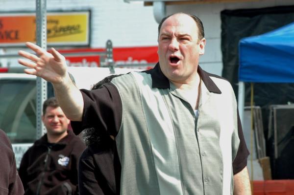Mob experts said the cocky, charismatic Taccetta was the real-life Tony Soprano, the ico<em></em>nic TV mob boss from New Jersey played by the late James Gandolfini, (above).