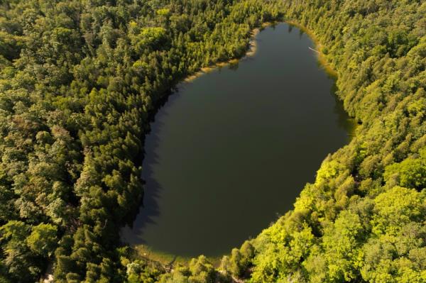 By measuring pluto<em></em>nium levels at the bottom of Crawford Lake, scientists are hoping to determine the specific start date of the Anthropocene. 