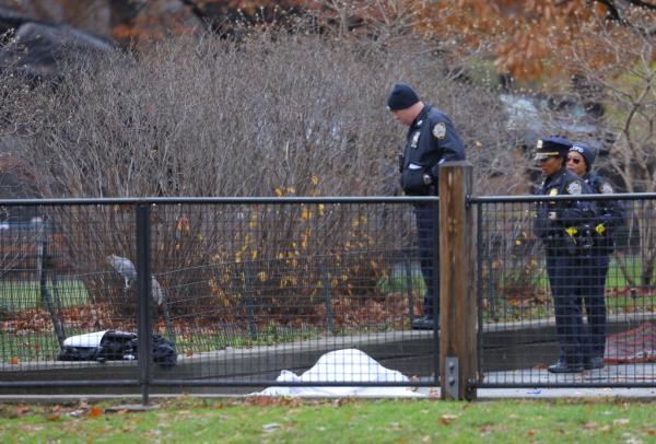 A deceased male was found in Heckscher Playground in Central Park