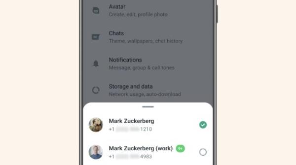 me<em></em>ta CEO Mark Zuckerberg announced the move on his Facebook account