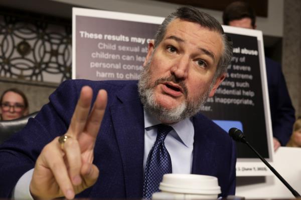 Sen. Ted Cruz (R-TX) speaks during a Senate Judiciary Committee hearing at the Dirksen Senate Office Building on Jan. 31.