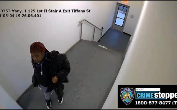 One member of the pair suspected of stealing 10-year-old Bronx dachshund Milkshake.
