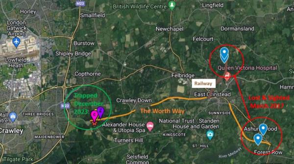 Rose was tracked in several spotted in several locations over her 6 year journey around England.