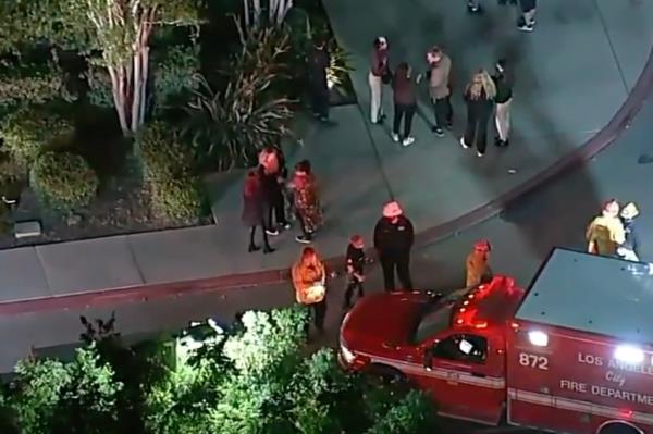 Dozens of shoplifters were wearing hoodies and masks, according to surveillance video. The thieves are seen attacking security guards with bear spray.