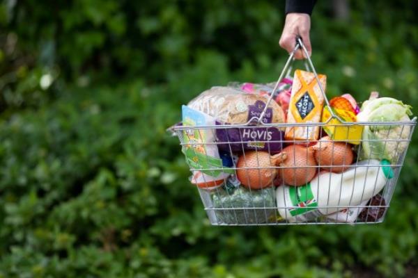Shopping basket of groceries