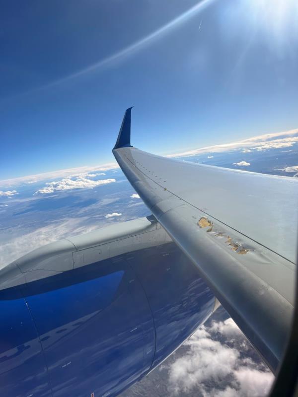 Damaged wing