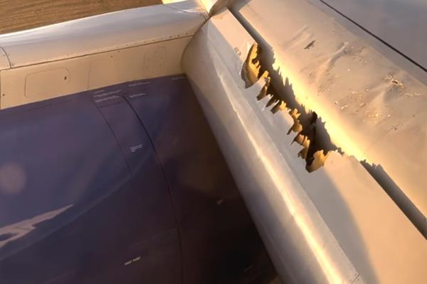 Wing damage