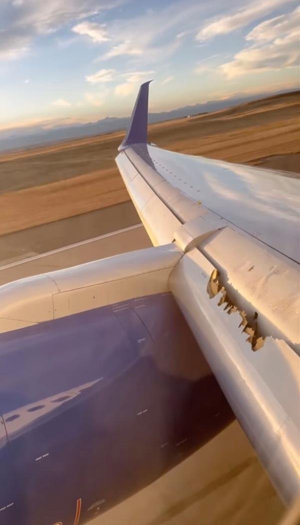 Damaged wing
