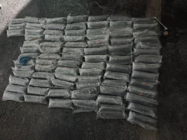 A Border Patrol K-9 helped agents find nearly $2 million worth of fentanyl at a traffic stop near Yuma, Arizona last week.