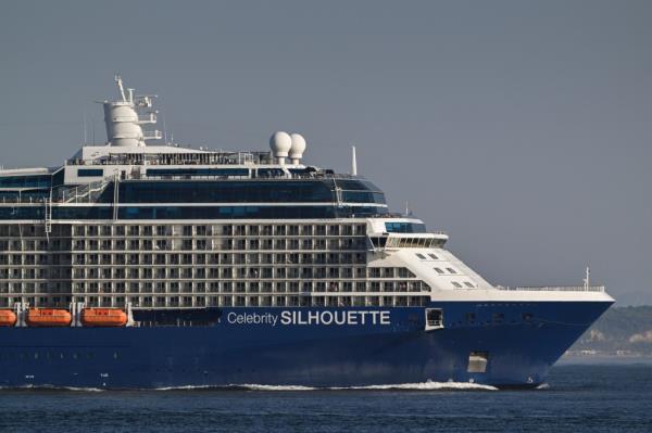 The Celebrity Silhouette