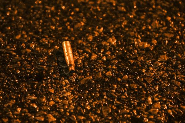 Kimbrady Carriker bullet
