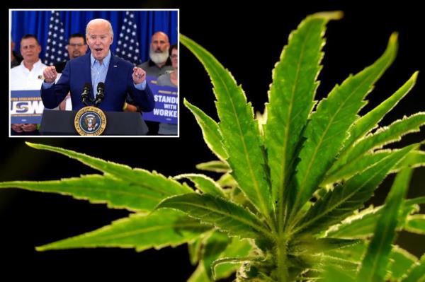 President Joe Biden speaks at a campaign event at United Steelworkers Headquarters, Wednesday, April 17, 2024.