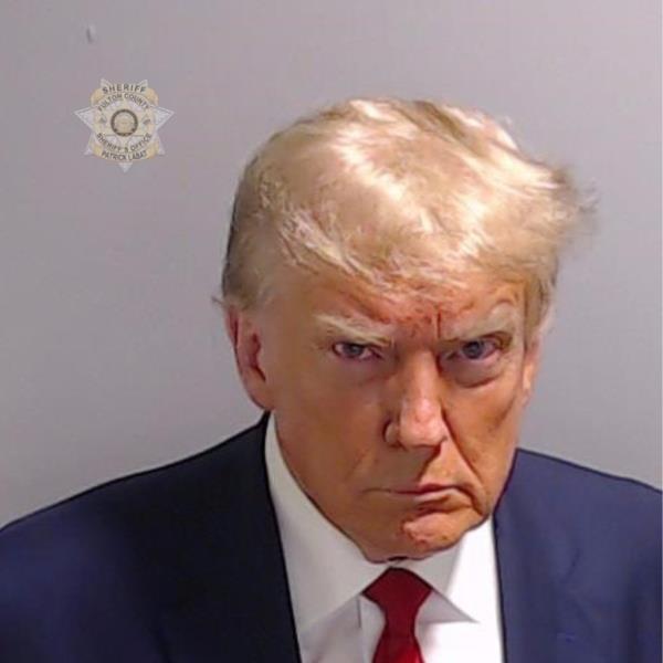 Do<em></em>nald Trump mug shot