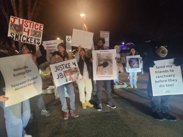 Protesters from Humane Long Island demo<em></em>nstrated outside the Holtsville Ecology Center during the annual Christmas tree lighting, calling for action against alleged animal abuse at the facility.