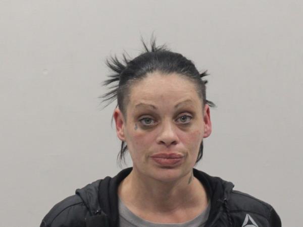 Chrystal Lawson, 39, surrendered to police Wednesday after armed officers surrounded her Marston Mills home following frightened reports from a pair of teens golfing nearby.