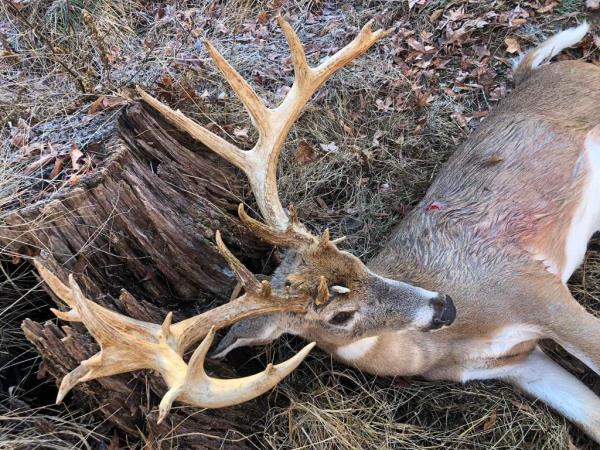 Walters' hunting license has been revoked for 100 years, with 75 years suspended — meaning a minimum of 25 years of active loss of his license.