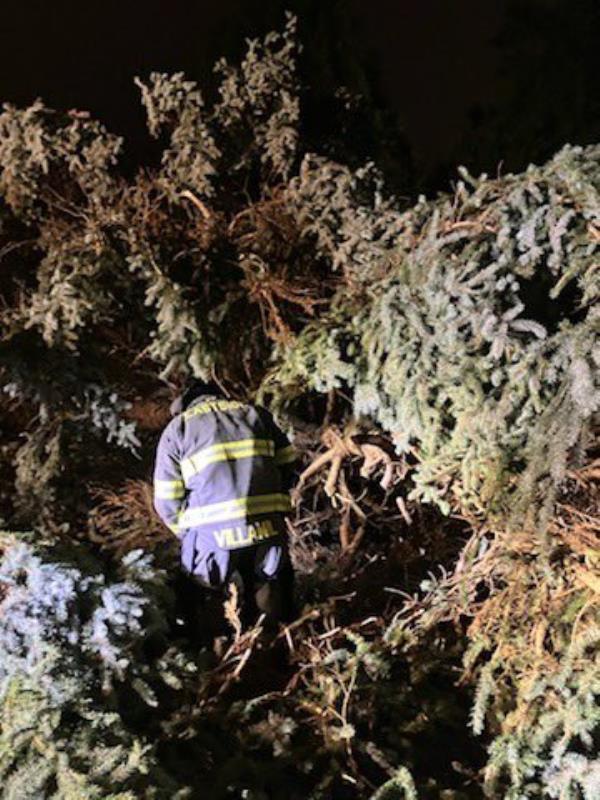 A firefighters sits in a down tree during the 