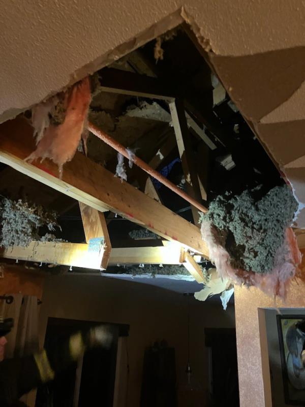 A tree tore a hole into the roof of a Issaquah area building.