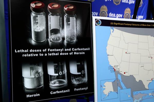 Posters comparing lethal amounts of heroin, fentanyl, and carfentanil, are on display during a DEA news co<em></em>nference several years ago.