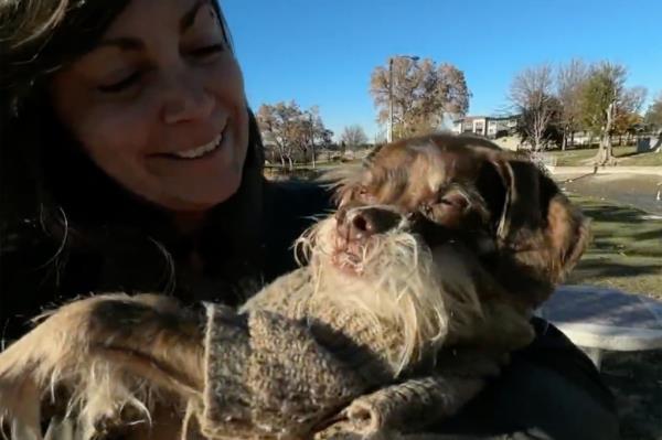 Megan Caligiuri and her dog Griff, a 15-year-old schnauzer mix. 