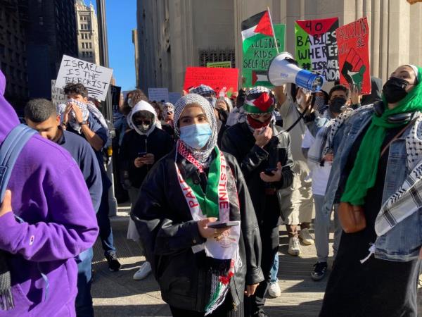 Pro-Palestinian protesters